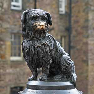 Explore Edinburgh at your own speed with hop-on hop-off bus tours – Panoramic views, audio guides, and unlimited stops in 2026