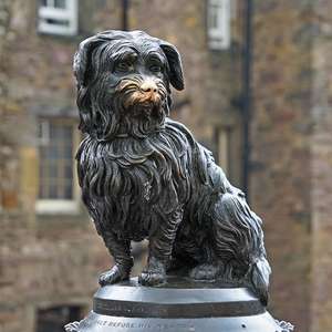 Explore Edinburgh at your own speed with hop-on hop-off bus tours – Panoramic views, audio guides, and unlimited stops in 2025